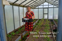 Домик в деревне