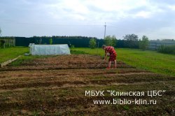 Домик в деревне