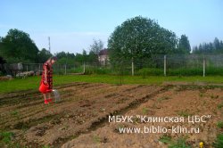 Домик в деревне