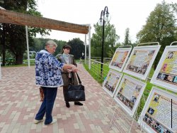 Клин снимается в кино