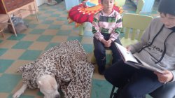 Проект "БиблиоГав-читаем книги собакам".