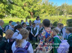 Леса – зелёный каркас планеты