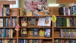 «Рисуй дождями нежность на окне...» — обзор литературы «Рисуй дождями нежность на окне...» — обзор литературы