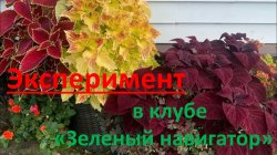 ������ � ������ � ������