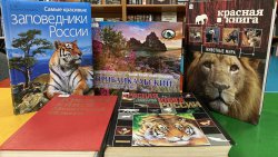 ����������� ������� � ������������� ����