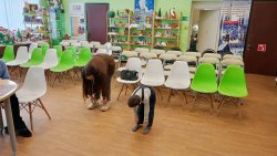 ������� �� ������� 