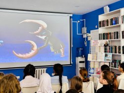 ��������� ������ ������� ������� 