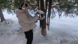 ���������, ��� ������ �������