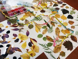 ����� �� �������