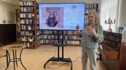 ������ ���� ������������ �������� ������ ������� � ��� ����� �� ������� � ������������� ��������