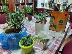 ��������� ���������