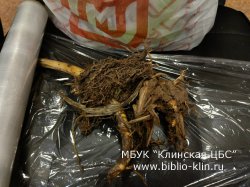 ������� ��������� � ����� ��������� �������