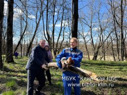 ������� ���������� � ���: ���������� �������� ��� ������� ������� � ���������� ������������� �����