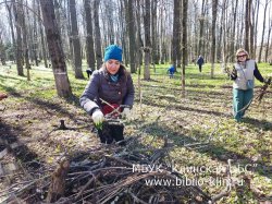 ������� ���������� � ���: ���������� �������� ��� ������� ������� � ���������� ������������� �����