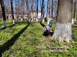 ������� ���������� � ���: ���������� �������� ��� ������� ������� � ���������� ������������� �����