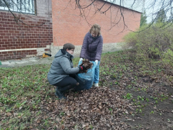 ������������� ��������