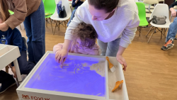 � ���� ����������