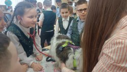 ������� ����� ������, ��������� �� ��������