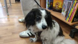 ������� ����� ������, ��������� �� ��������