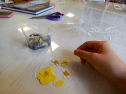 ������ ����� �������