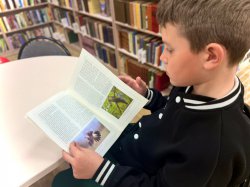 ������������, ��������!