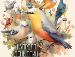 ������������, ��������!