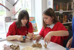 ������������� ������������