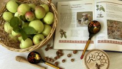 � � ��� � �������� ����